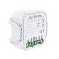 Smart Light Switch Module WiFi Blitzwolf BW-SS7 kaina ir informacija | Stebėjimo kameros | pigu.lt