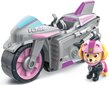 Figūrėlė ir motociklas deluxe Moto Pups Skye Paw Patrol цена и информация | Žaislai berniukams | pigu.lt