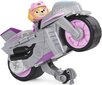 Figūrėlė ir motociklas deluxe Moto Pups Skye Paw Patrol kaina ir informacija | Žaislai berniukams | pigu.lt