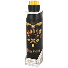 Термобутылка из нержавеющей стали Harry Potter (580 мл) цена и информация | Атрибутика для игроков | pigu.lt