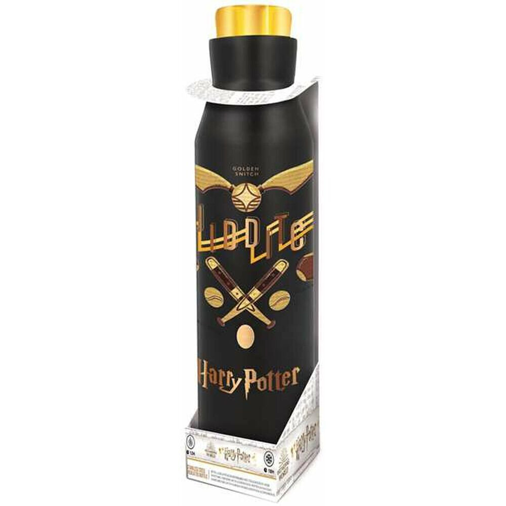 Harry Potter, 580 ml цена и информация | Žaidėjų atributika | pigu.lt