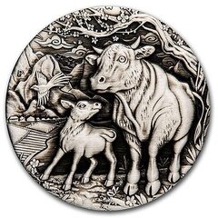 Sidabrinė moneta 2021 Jaučio metai Australija 2 oz. цена и информация | Инвестиционное золото, серебро | pigu.lt