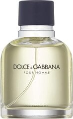 Tualetinis vanduo Dolce & Gabbana Pour Homme EDT vyrams 75 ml kaina ir informacija | Kvepalai vyrams | pigu.lt