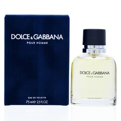 Tualetinis vanduo Dolce & Gabbana Pour Homme EDT vyrams 75 ml kaina ir informacija | Kvepalai vyrams | pigu.lt