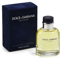 Tualetinis vanduo Dolce & Gabbana Pour Homme EDT vyrams 125 ml kaina ir informacija | Kvepalai vyrams | pigu.lt