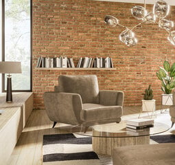 Кресло NORE Megis, коричневое цена и информация | Кресла в гостиную | pigu.lt