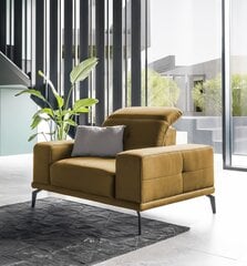 Кресло NORE Torrense, коричневое цена и информация | Кресла в гостиную | pigu.lt