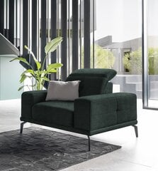 Fotelis NORE Torrense, tamsiai žalias kaina ir informacija | Svetainės foteliai | pigu.lt