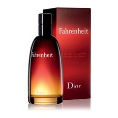 Туалетная вода Dior Fahrenheit EDT для мужчин 100 мл цена и информация | Мужские духи | pigu.lt