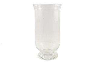 Stiklinė kaina ir informacija | Taurės, puodeliai, ąsočiai | pigu.lt