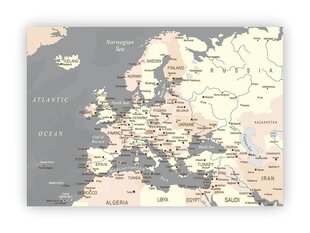 Kamštinis paveikslas Europos žemėlapis, pilkas kaina ir informacija | Reprodukcijos, paveikslai | pigu.lt