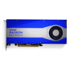 AMD Radeon PRO W6600 100-506159 kaina ir informacija | Vaizdo plokštės (GPU) | pigu.lt