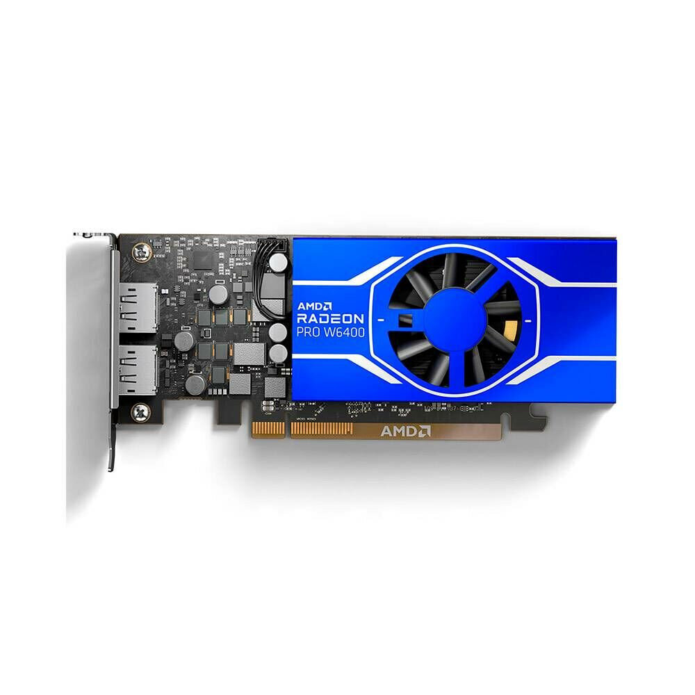 AMD Radeon PRO W6400 4GB kaina ir informacija | Vaizdo plokštės (GPU) | pigu.lt