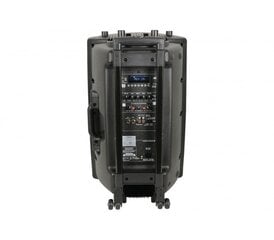 Перезаряжаемая аудиосистема QX15PA-PLUS, 2 беспроводных микрофона UHF, USB/SD/FM/Bluetooth, 15" цена и информация | QTX Компьютерная техника | pigu.lt