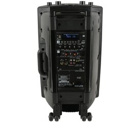 Аккумуляторная аудиосистема QX12PA-PLUS, 2 беспроводных микрофона UHF, USB / SD / FM / Bluetooth, 12 дюймов цена и информация | Аудиоколонки | pigu.lt