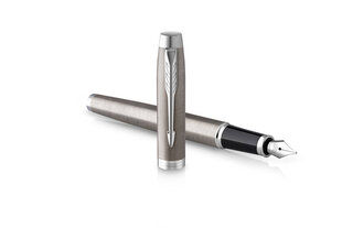 Перьевая ручка Parker IM Essential Stainless Steel CT цена и информация | Письменные принадлежности | pigu.lt