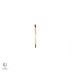 Vinilinė plokštelė RAMMSTEIN "Rammstein" (2LP) kaina ir informacija | Vinilinės plokštelės, CD, DVD | pigu.lt