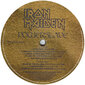 Iron Maiden - Powerslave, Remastered, 180g, LP, vinilo plokštė, 12" vinyl record kaina ir informacija | Vinilinės plokštelės, CD, DVD | pigu.lt
