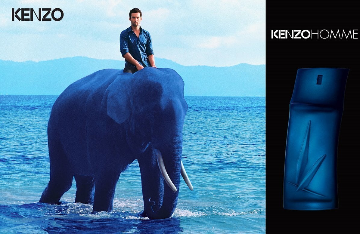 Tualetinis vanduo Kenzo Homme EDT vyrams 100 ml цена и информация | Kvepalai vyrams | pigu.lt