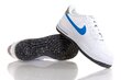 BALTOS SPORTINĖS BATIUKĖS Nike AIR FORCE 1 LV8 GS DR3098-100 r. 37.5 kaina ir informacija | Sportiniai bateliai, kedai moterims | pigu.lt