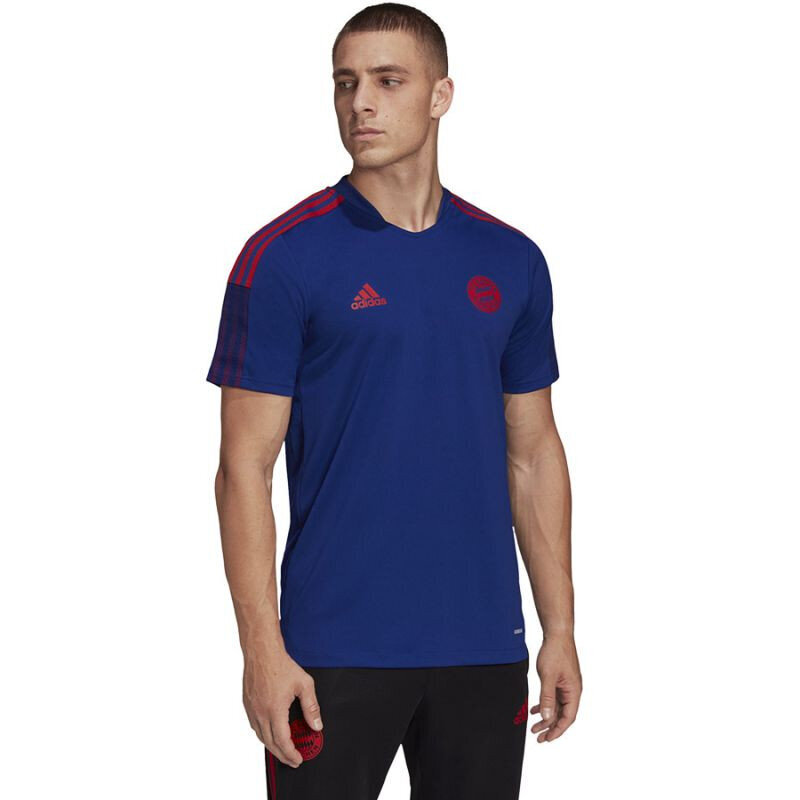 Marškinėliai vyrams Adidas FC Bayern Training Jsy M HA2543, mėlyni kaina ir informacija | Vyriški marškinėliai | pigu.lt
