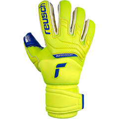 Вратарские перчатки Reusch Attrakt, синие цена и информация | Тренировочные перчатки. Размер 5 | pigu.lt