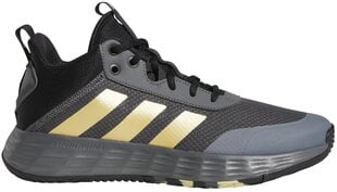 Мужские кроссовки Adidas Ownthegame 2.0 Grey GW5483 цена и информация | Кроссовки для мужчин | pigu.lt