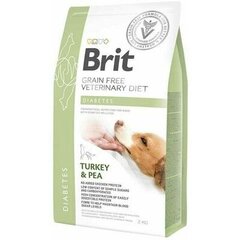 Brit GF Veterinary Diets для взрослых собак из индейки и гороха Diabetes, 2 кг цена и информация |  Сухой корм для собак | pigu.lt