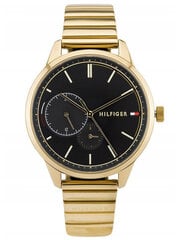 Moteriškas laikrodis Tommy Hilfiger Brooklyn zf527a kaina ir informacija | Moteriški laikrodžiai | pigu.lt
