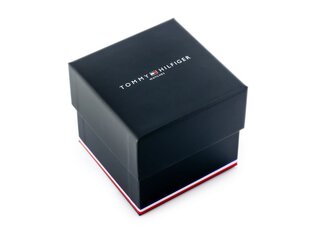 Женские часы Tommy Hilfiger BLAKE (Ø 38 mm) цена и информация | Женские часы | pigu.lt