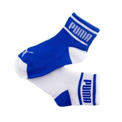 Спортивные носки Puma Wording x2 Синий Унисекс цена и информация | Мужские носки | pigu.lt