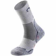Kojinės Lurbel Camino, pilkos spalvos kaina ir informacija | Vyriškos kojinės | pigu.lt
