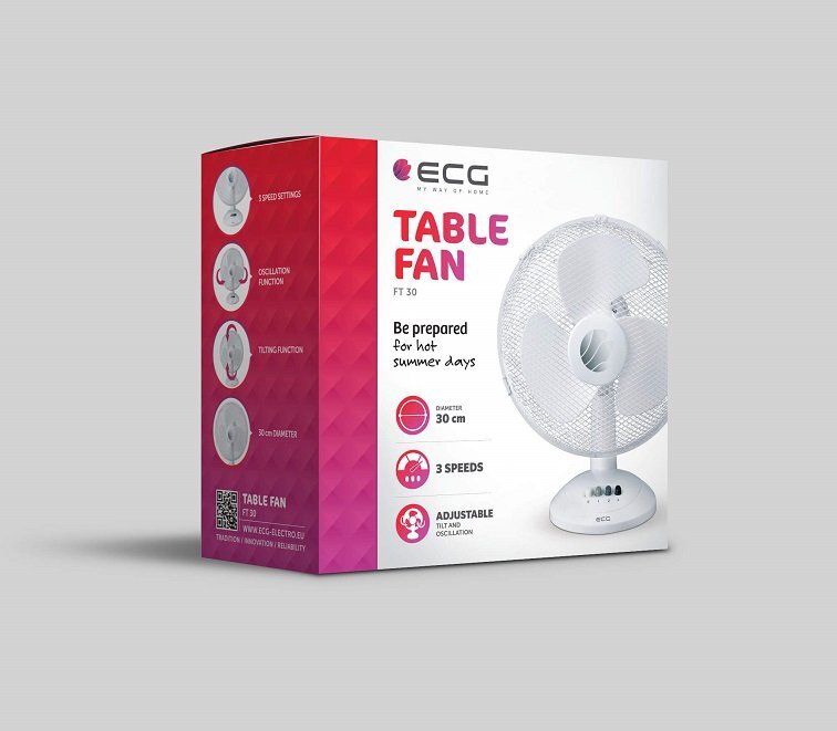 Ventiliatorius ECG FT 30A, 40W kaina ir informacija | Ventiliatoriai | pigu.lt