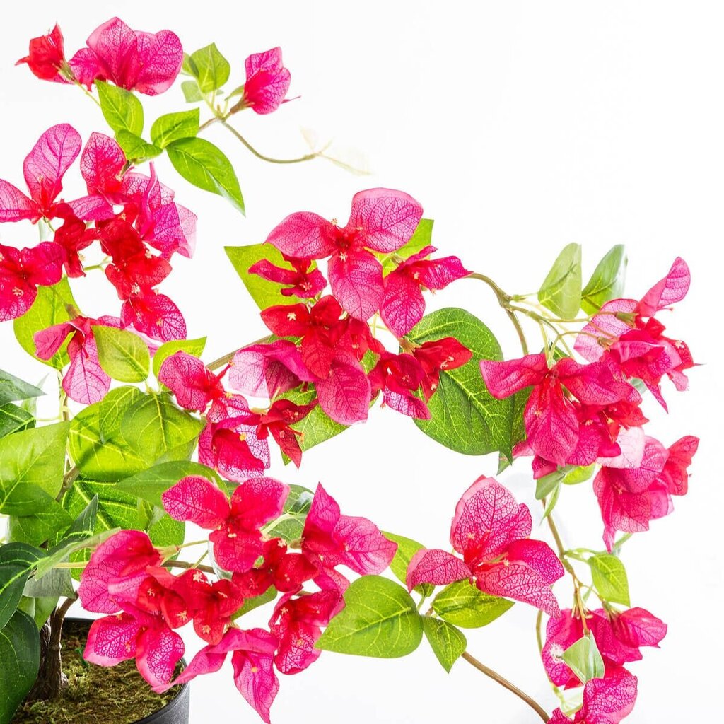 Dirbtinė Bugenvilija rožinė kaina ir informacija | Dirbtinės gėlės | pigu.lt