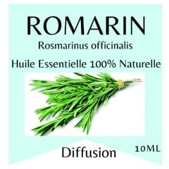 100% natūralus eterinis aliejus Rosemary, 10ml kaina ir informacija | Eteriniai, kosmetiniai aliejai, hidrolatai | pigu.lt