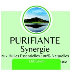 Natūralių eterinių aliejų mišinys Synergy of Purifying, 10ml kaina ir informacija | Eteriniai, kosmetiniai aliejai, hidrolatai | pigu.lt