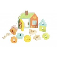 Блоки Классический мир - ключи и двери, 11 деталей цена и информация | Игрушки для малышей | pigu.lt