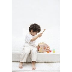 Medinis rūšiuotojas/cimbolai kaina ir informacija | Žaislai kūdikiams | pigu.lt