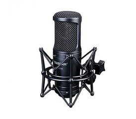 GL-200 studijinis mikrofonas kaina ir informacija | Mikrofonai | pigu.lt