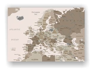 Kamštinis paveikslas - Europos žemėlapis. Rusvas [Kamštinis žemėlapis] 150x100cm kaina ir informacija | Reprodukcijos, paveikslai | pigu.lt
