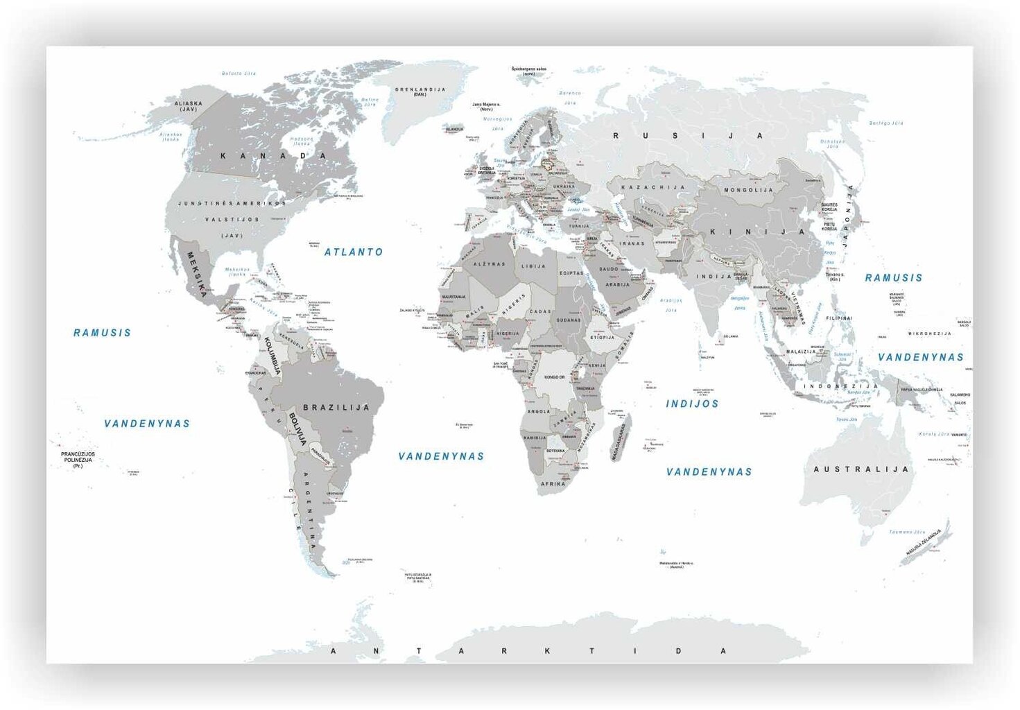 Kamštinis paveikslas - Pasaulio žemėlapis. Baltas. Lietuvių kalba. [Kamštinis žemėlapis] 100x50cm kaina ir informacija | Reprodukcijos, paveikslai | pigu.lt