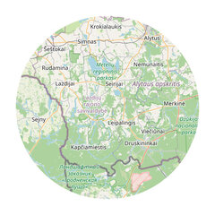 Kamštinis paveikslas - Detalusis Lietuvos žemėlapis 60x40cm kaina ir informacija | Reprodukcijos, paveikslai | pigu.lt