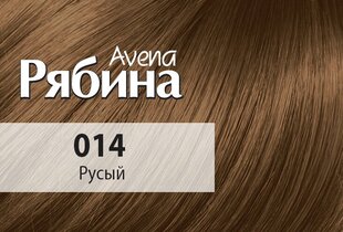 Kreminiai plaukų dažai Acme Color Rebina Nr. 014 цена и информация | Краска для волос | pigu.lt