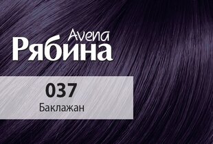 Kreminiai plaukų dažai Acme Color Rebina Nr. 037 цена и информация | Краска для волос | pigu.lt