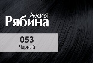 Kreminiai plaukų dažai Acme Color Rebina Nr. 053 цена и информация | Краска для волос | pigu.lt