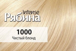 Kreminiai plaukų dažai Acme Color Rebina Nr. 1000 цена и информация | Краска для волос | pigu.lt