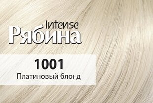 Kreminiai plaukų dažai Acme Color Rebina Nr. 1001 kaina ir informacija | Plaukų dažai | pigu.lt