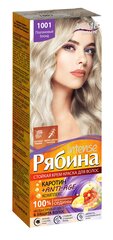 Kreminiai plaukų dažai Acme Color Rebina Nr. 1001 цена и информация | Краска для волос | pigu.lt