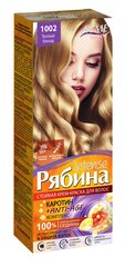 Kreminiai plaukų dažai Acme Color Rebina Nr. 1002 цена и информация | Краска для волос | pigu.lt