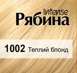 Kreminiai plaukų dažai Acme Color Rebina Nr. 1002 kaina ir informacija | Plaukų dažai | pigu.lt
